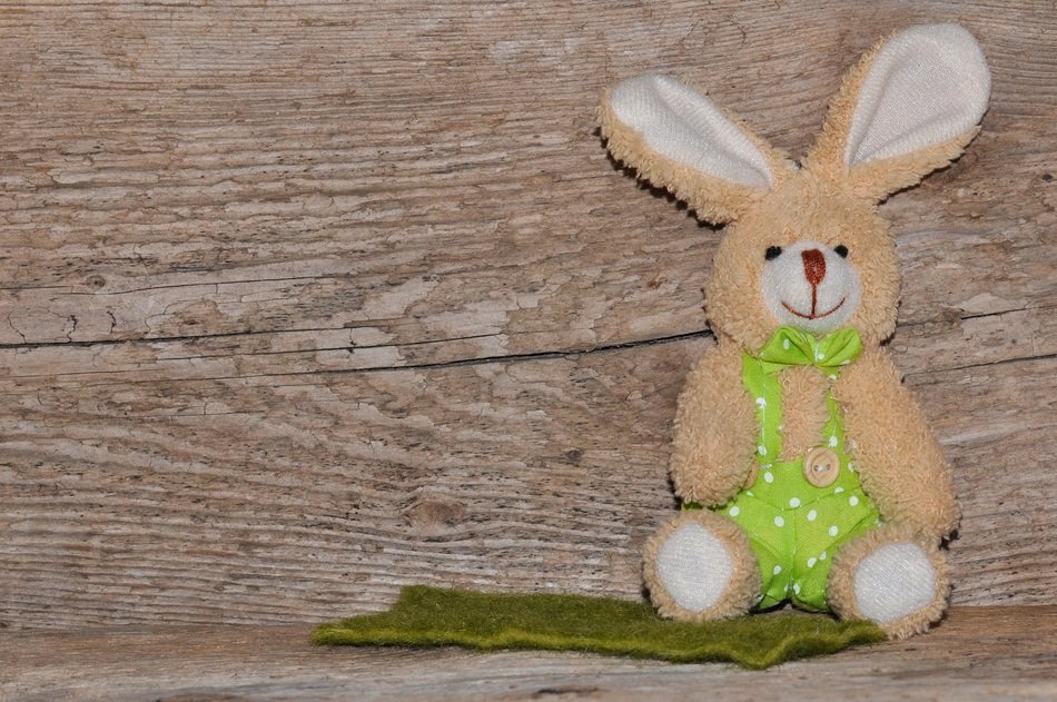 fabric bunny hare wood background