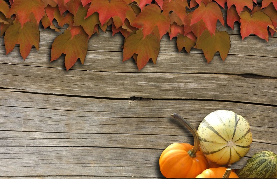 wine background autumn decoration