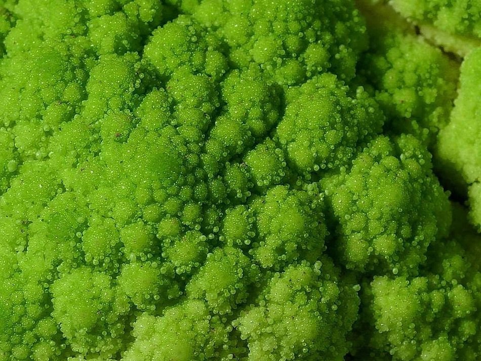 broccoli greens vegetables healthy