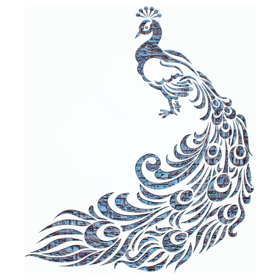 peacock graphic design bird