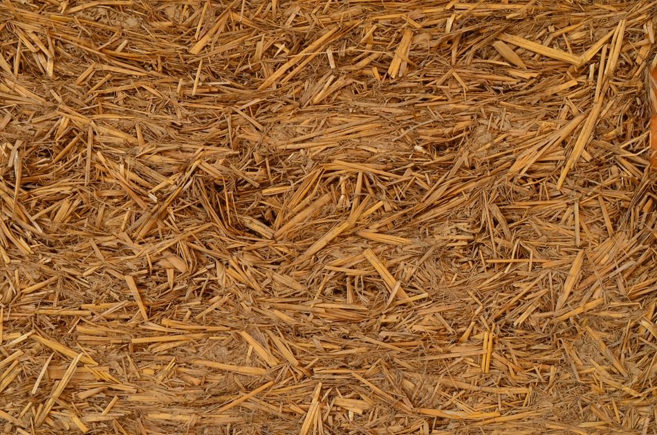 straw hay farm rural agriculture