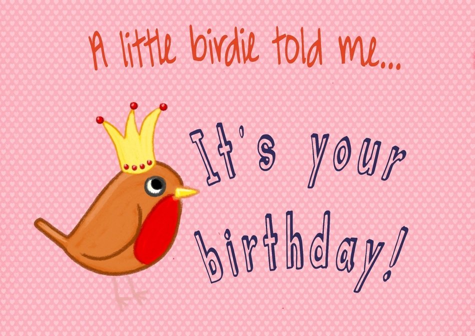 bird birthday card pink modern