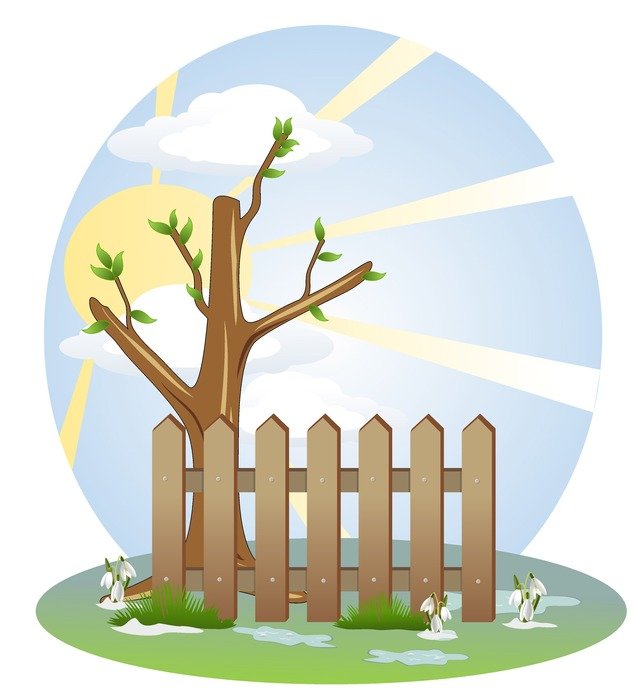 spring sunny picture on background