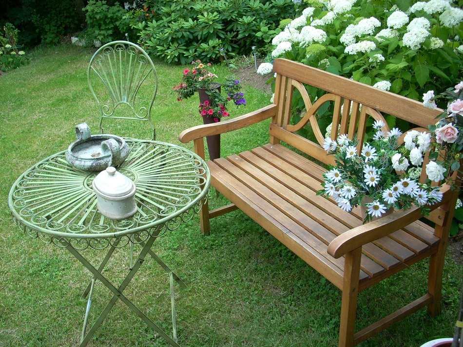 garden romantic flowers plant