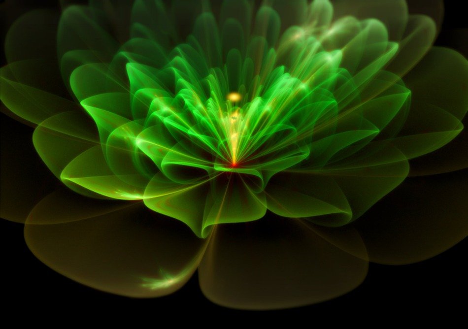 fractal flower green background