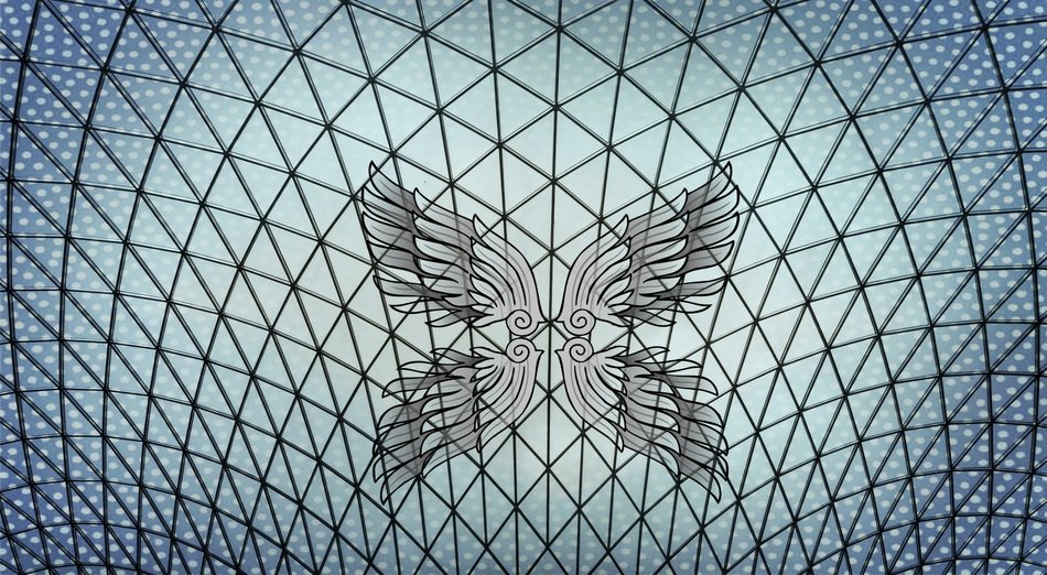 graphic pattern wing art
