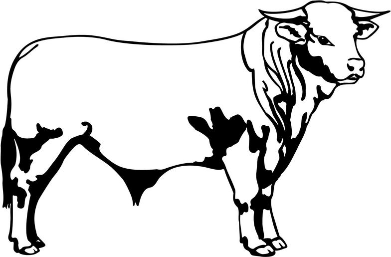 Hereford Bull Head Decals free image download