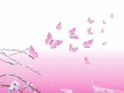 Clip art of Pink Butterflies and cherry tree