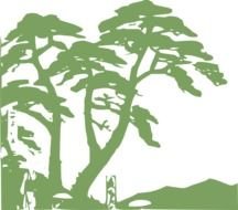 Jungle Trees Clip Art