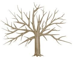 tree with branches for family tree