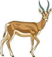 Gazelle Clip Art N2