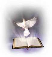 Holy Spirit Bible and bird drawing