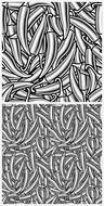 black and white chili pepper pictures