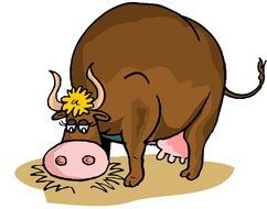 drawing of a cow in the meadow
