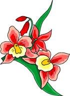 Flower red lily drawing