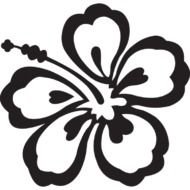 Black And White Hawaiian Flowers drawing