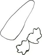 Black and white drawing of the carrot clipart