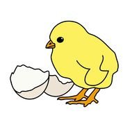 Clip art of Cartoon Farm chicken