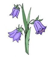 Iris Flower Clip Art
