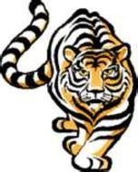 Animated Tiger Clip Art N2