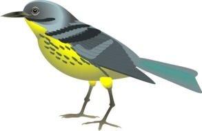 Clip Art of the colorful bird