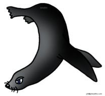 Sea Lion Clip Art N3