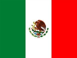 Mexico Flag bird drawing