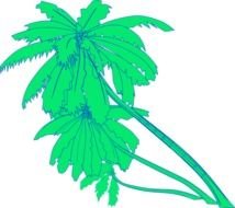 Palm Tree Heart Clip Art