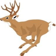 Running Deer Clip Art drawing