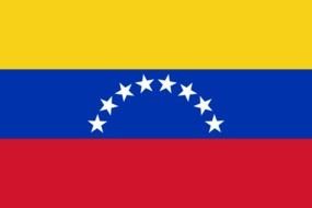 Venezuela Flag drawing