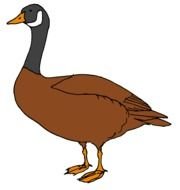 Goose Clip Art drawing