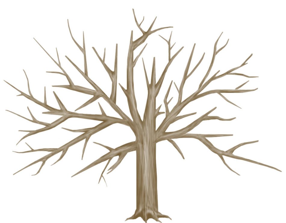 tree with branches for family tree