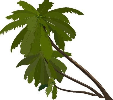 Palm Tree Clip Art N12