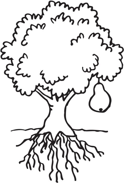 Black and white drawing of the tree with the pear clipart