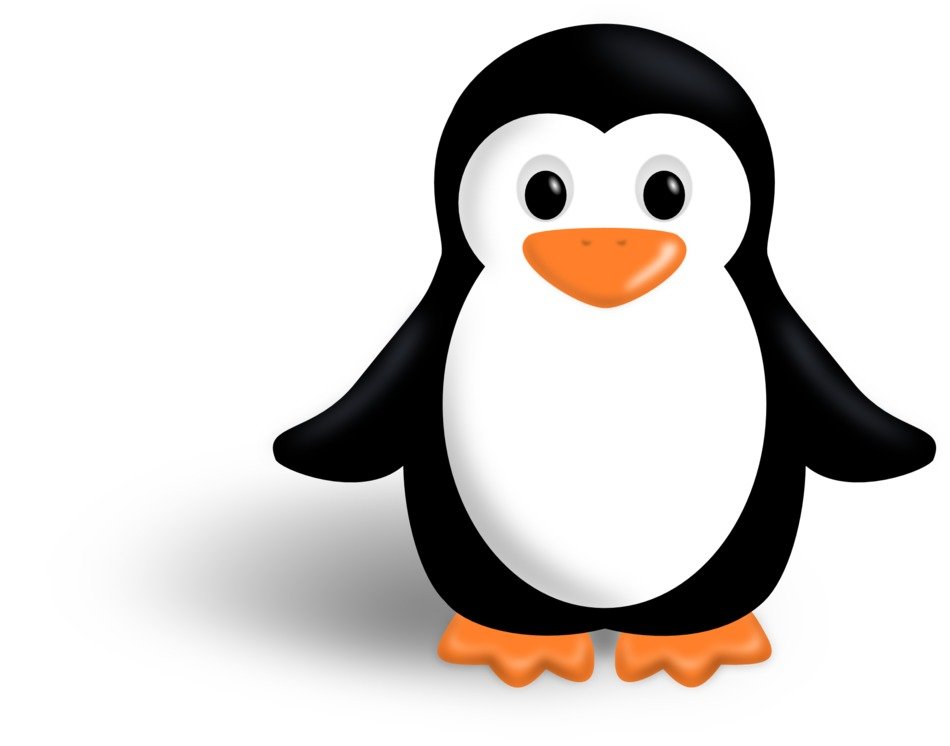 animated penguin on the white background