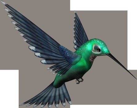 Transparent Birds