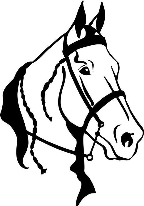 Quarter Horse Head Clip Art