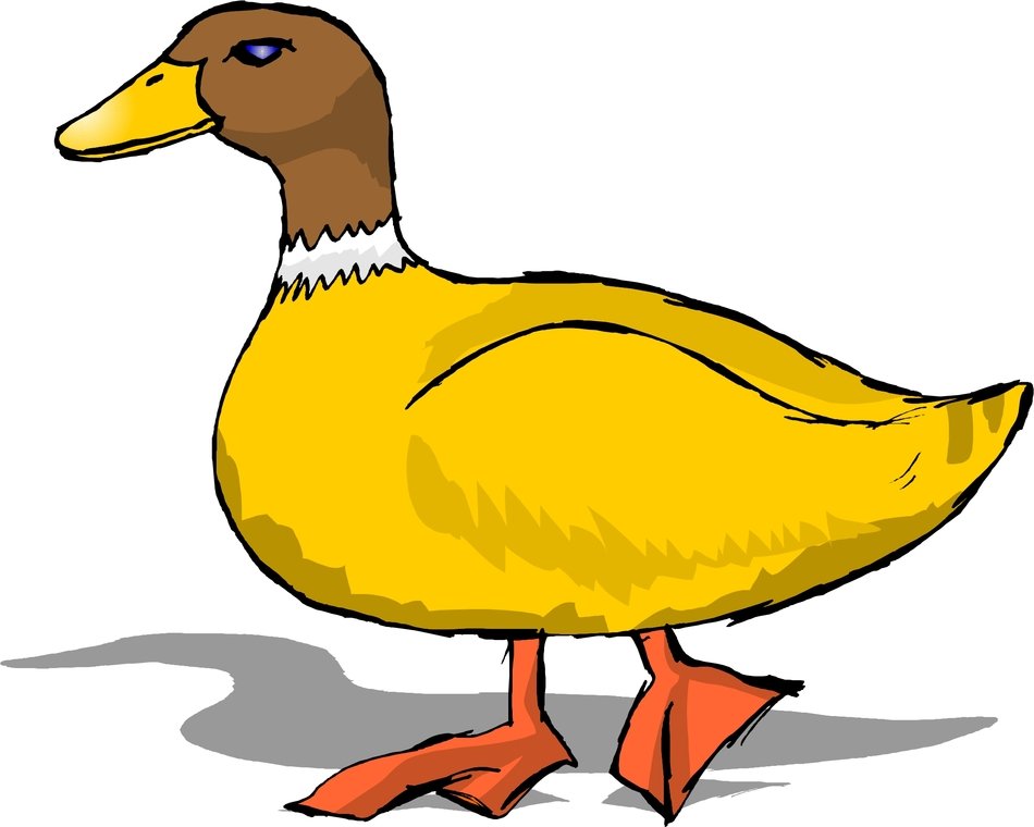 Cartoon Duck