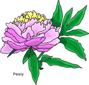 Microsoft Free Clip Art Flowers N3