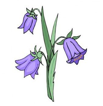Iris Flower Clip Art