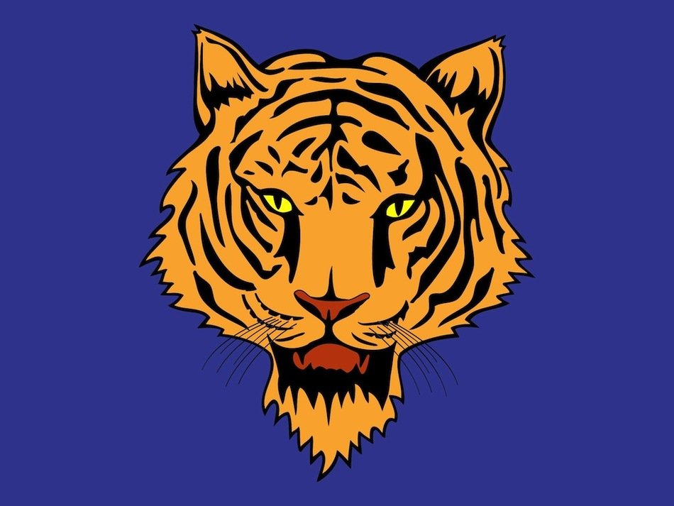 Tiger Clip Art N6