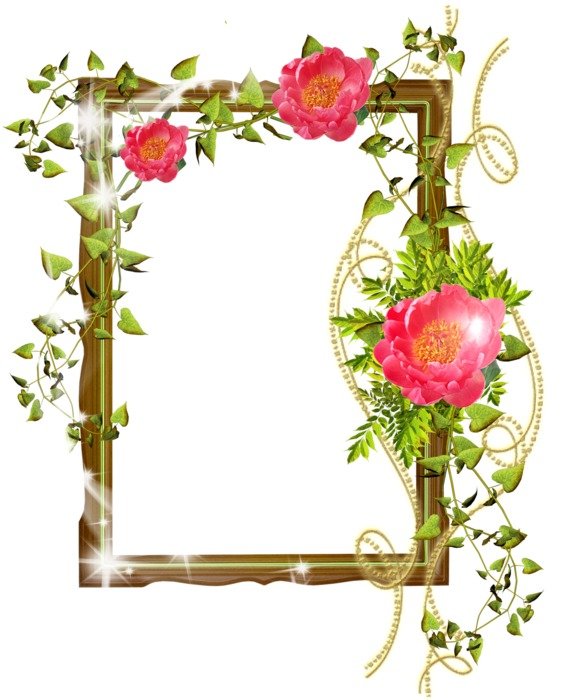 shiny frame with pink buds