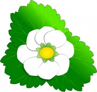 Free Winter Clip Art Flowers