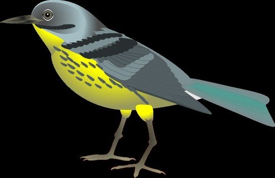 Clip Art of the colorful bird
