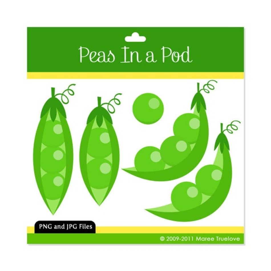 Pea Pod Clip Art N3