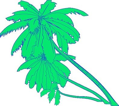 Palm Tree Heart Clip Art
