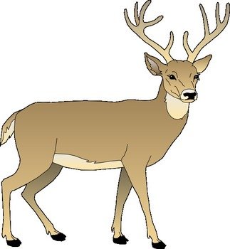 Cartoon Deer Clip Art N5