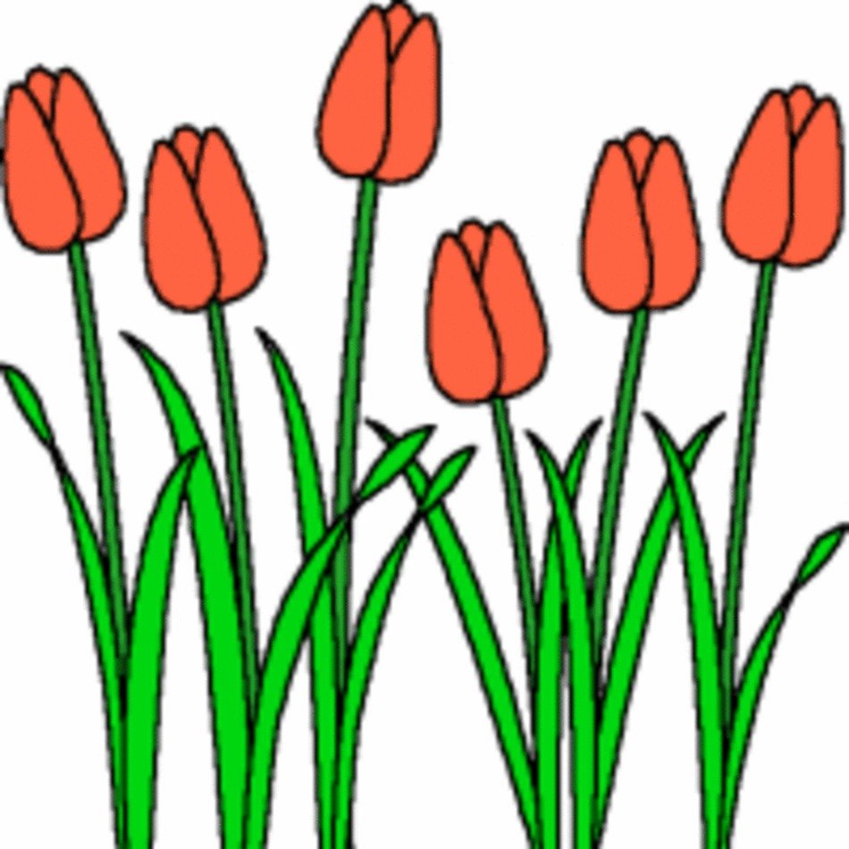 Garden Clip Art N8