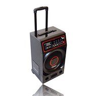 Portable Tailgate Bluetooth Speakers/Party Speakers N2