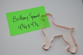 Brittany Spaniel Copper Cookie Cutter N2